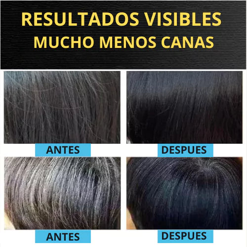 Champú para canas 3 en 1